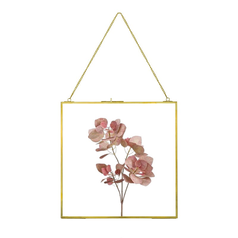 fujack Pressed Flower Frame, Hanging Picture Frame for DIY Artwork Display Clear Glass Wall Brass Frames for Plant Specimen Dried Flower Square Photo Frame 6x6 - Gold - Image 1